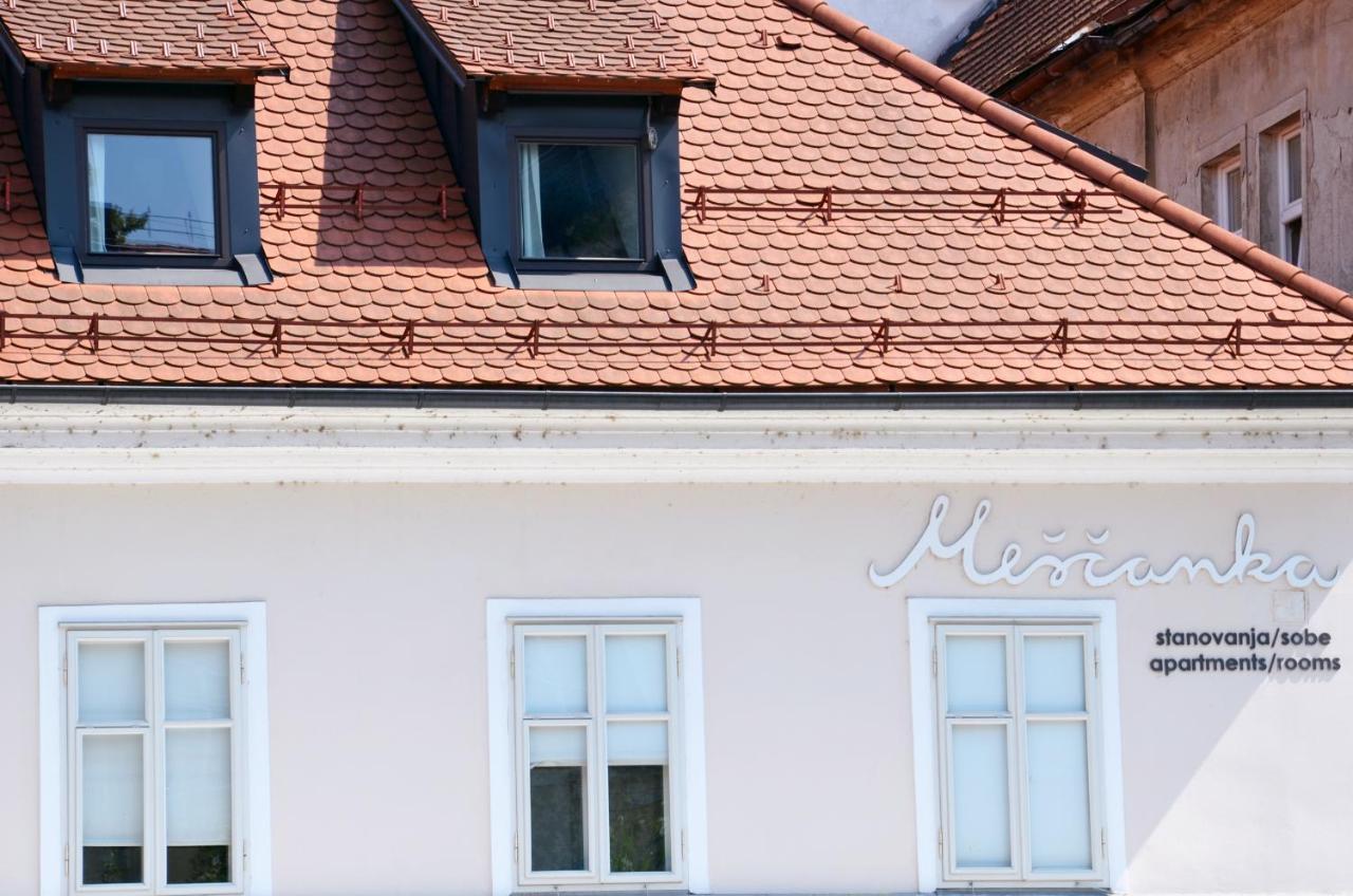 Central Riverside Apartments Mescanka Lublaň